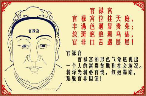 官禄宫是事业宫吗