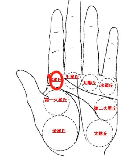 太阳丘的寓意 太阳丘饱满对人的影响