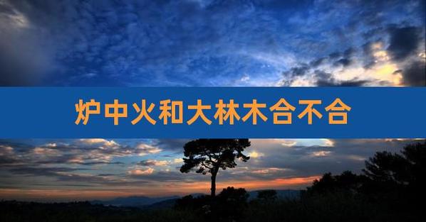 大林木和大林木配吗