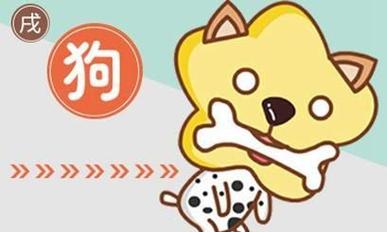 属狗的女人爱你表现有哪些