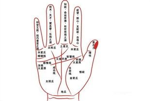 如何看手相事业线?