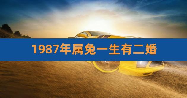 1987每属兔一生有二婚,婚姻会有怎么变故