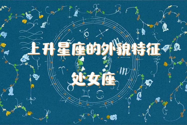 处女座的长相总结!