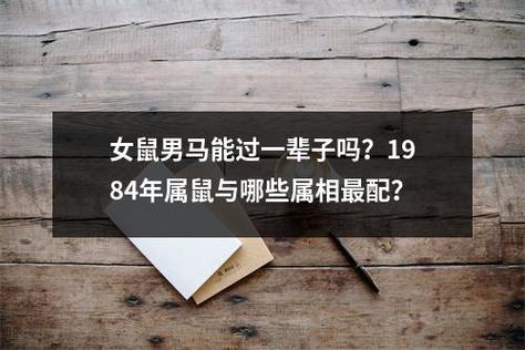 女鼠男马能过一辈子吗?1984年属鼠与哪些属相最配?