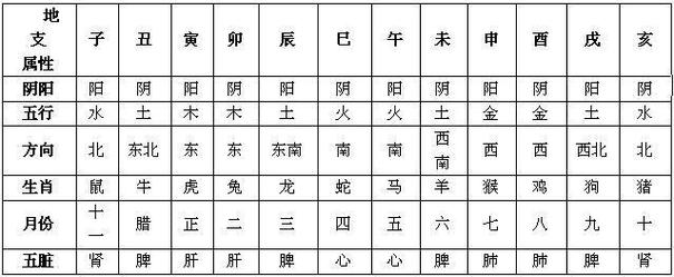 十二地支简析
