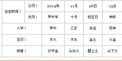 沙中金命是哪一年出生