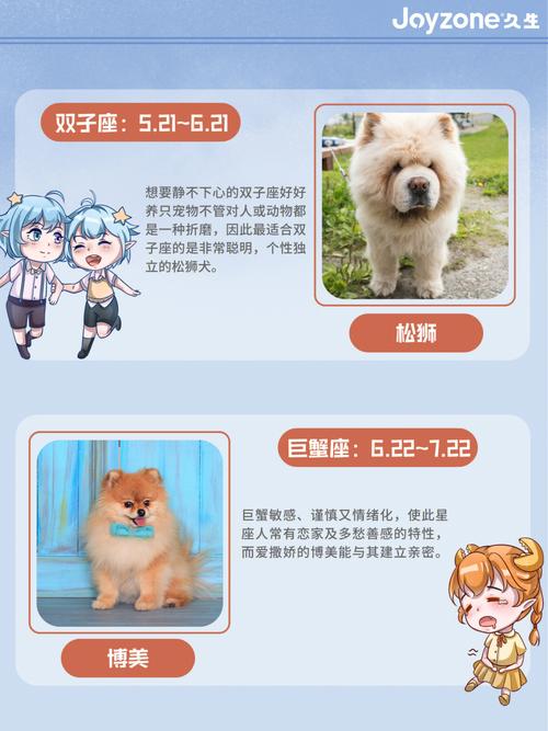 十二星座最适合用什么