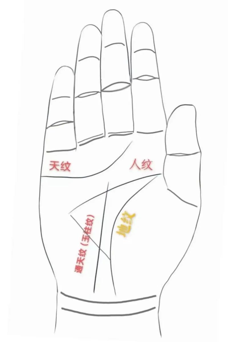 聪明至极的手相什么特征