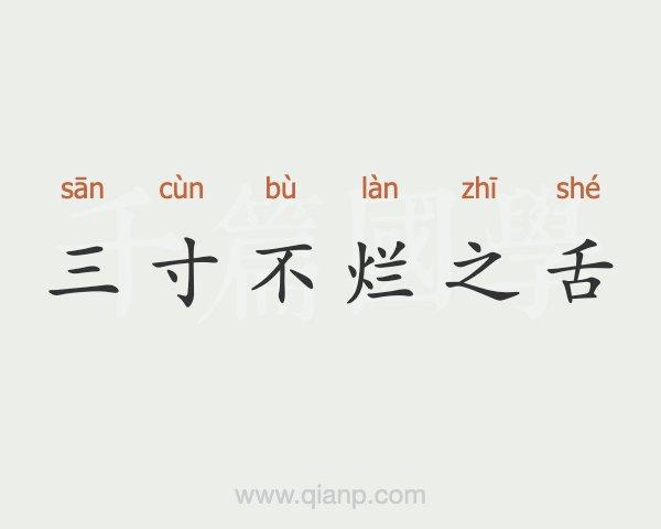 这些星座能说会道,有三寸不烂之舌