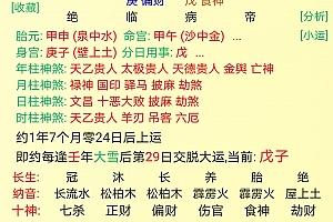 丙申日柱男命怎么样