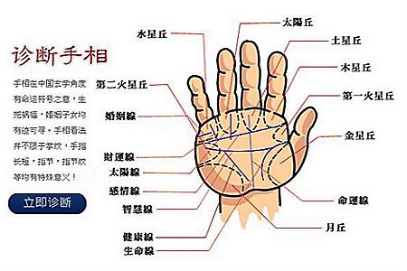 手相100招看你健康财运爱情(上)