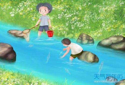 梦见在泥里抓鱼