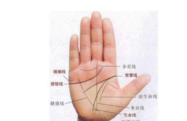 事业有成、婚姻幸福的生命线长这样