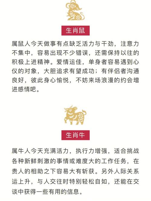 最容易引起别人的注意力的生肖