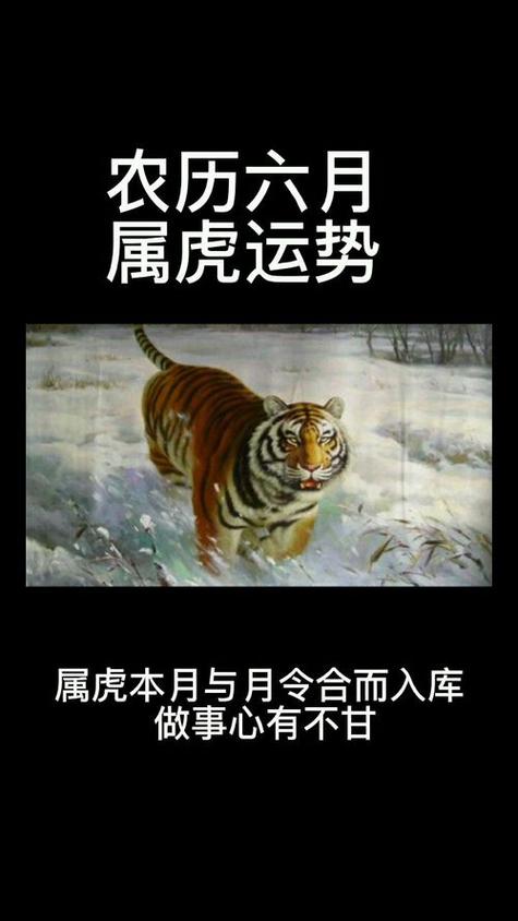 2021年十月份属虎人的转运方式