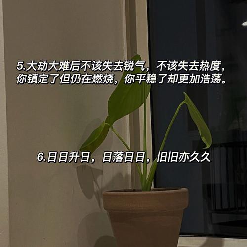梦到一见钟情 梦到一见钟情的姑娘喜欢自己