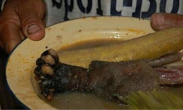 梦见杀猴子肉吃