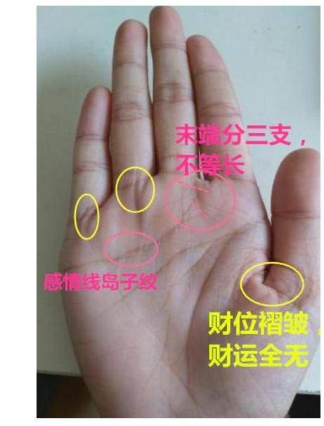 掌纹看相 这样的手相一生钱财无忧