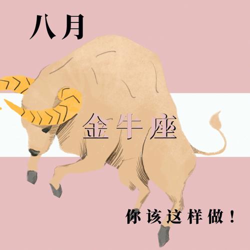金牛座做啥事情最操心