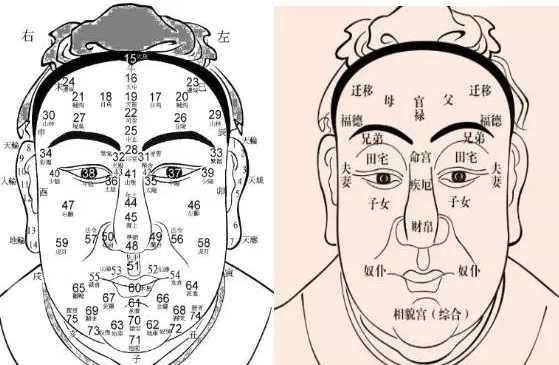 面相算命图解人中