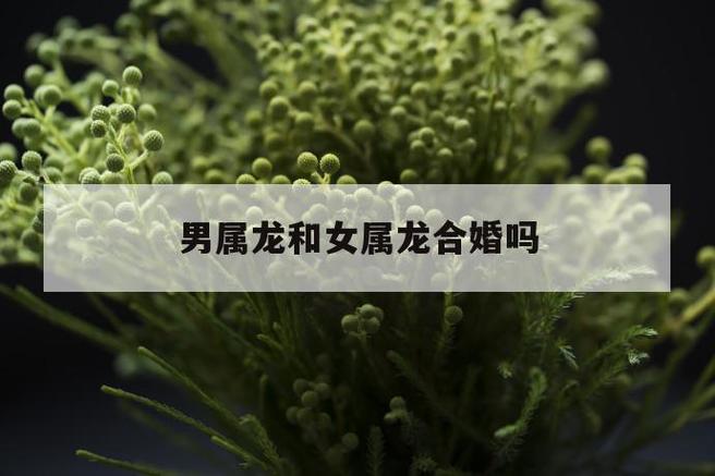 属龙男和属龙女的婚姻会幸福吗