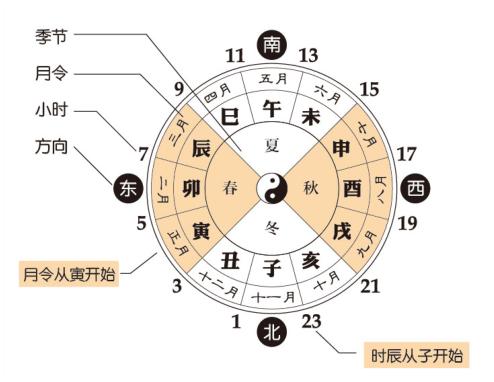 婚配看天干还是地支
