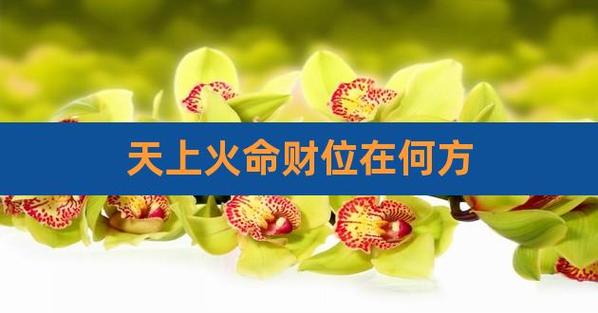 火命人适合什么行业最旺财