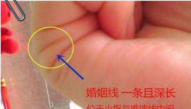 手相/没有婚姻线难道就孤独终老