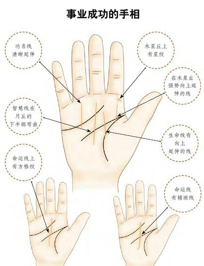 手相影响线代表什么意思
