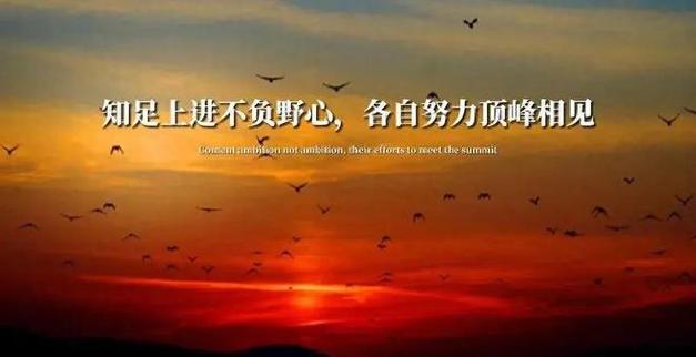 努力拼搏 极具上进心的四大生肖