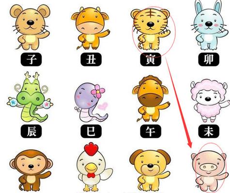十二生肖中生肖虎女有什么性格特征?