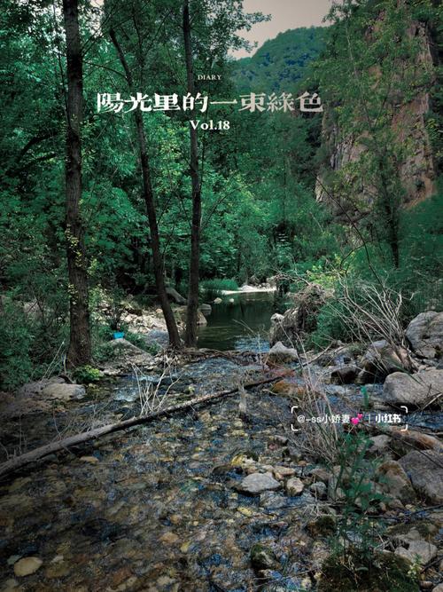 梦见踩水里的石头过河什么意思