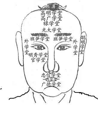 面相可观家中地位