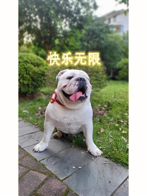 属猴男什么环境下会对女生起坏心思