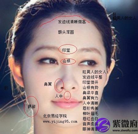 额头饱满的面相命运分析