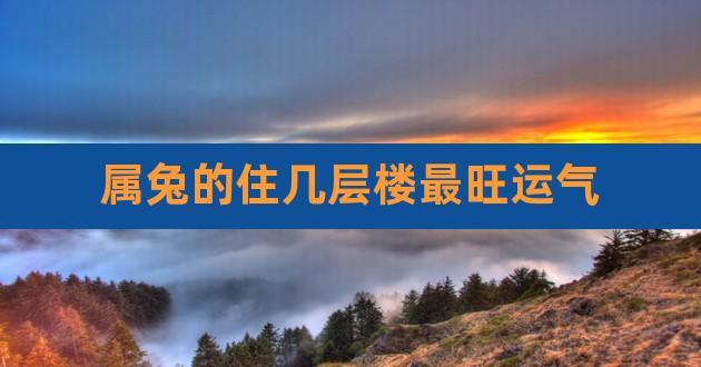 属兔的人2021年11月可以住几楼