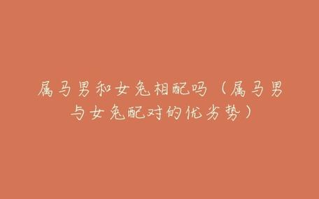 怎么追属马的女孩子