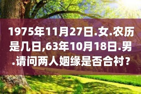为什么乙卯女不能娶