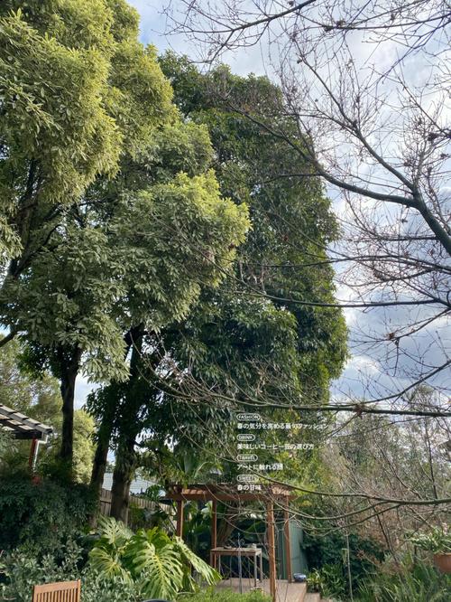 庭院内树木砍伐的禁忌