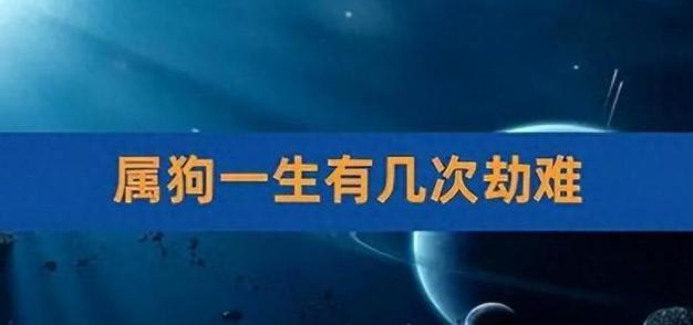 2021属狗的劫数是什么