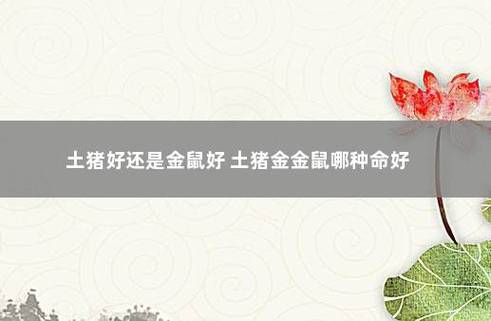土猪年生宝宝好还是金鼠年