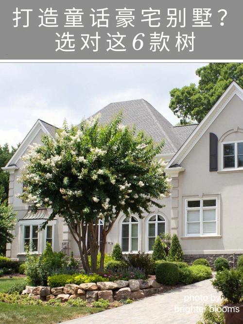 别墅门口种什么树最好?