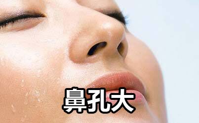 鼻孔的大小有哪些寓意吗?