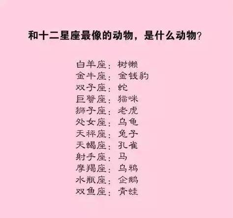 十二星座最适合当什么动物