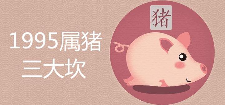 1995属猪的三大坎