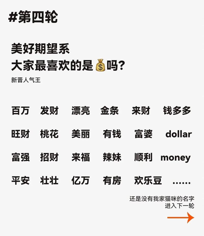 猫咪名字创意 遇不上重名