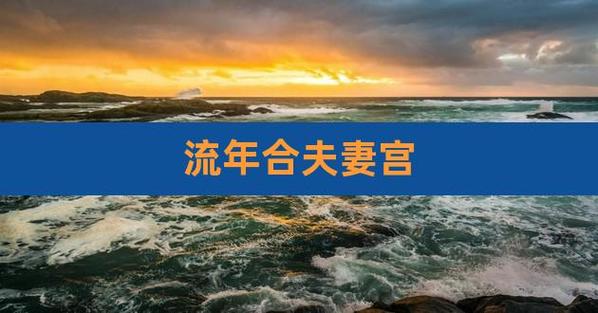已婚流年合动婚姻宫