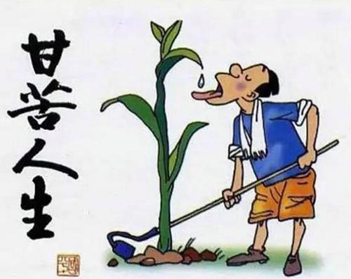 喜欢吃苦的东西