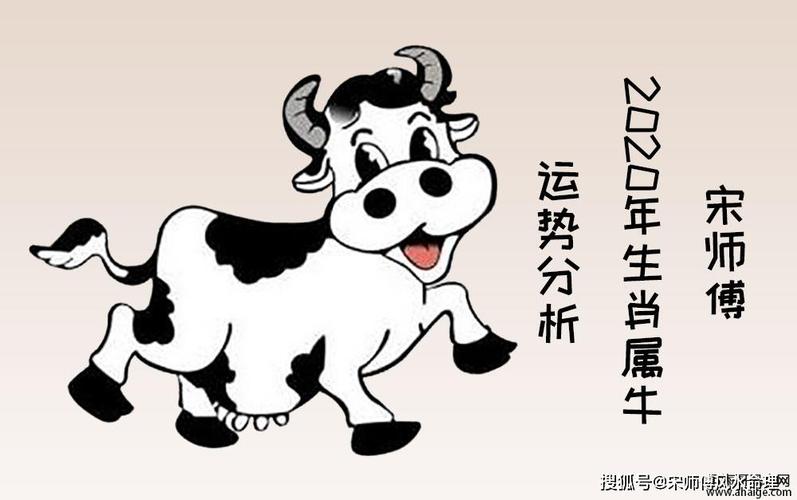 男属牛2020年下半年运势