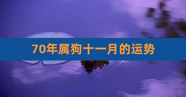 属狗11月运势